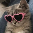 seungcheolgbt avatar