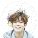 seungmin-jpeg avatar