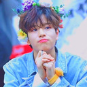 seungmins-socks avatar