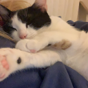 sevdiklerinyolunsonunda avatar