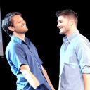 seven-asterisks avatar