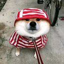 sevendayshappiness avatar