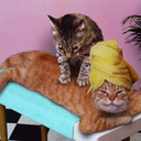 sevendeadlybooties avatar