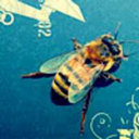 sevenperseids avatar