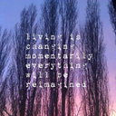 sevenraysofhope avatar