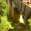 seventeen-plz avatar