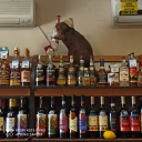 seventh-do-you-copy avatar