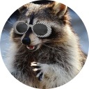 several-raccoons-in-a-trenchcoat avatar