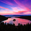 severalonions avatar