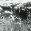 severaltimesisawhim avatar