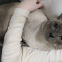 severecattrash avatar