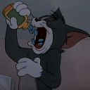 severekoalaharmony avatar