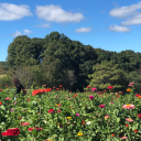 severelybiased avatar