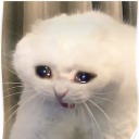 severelylackinginquality avatar