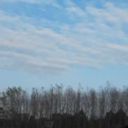 severepatrolscissorspersona-blog avatar