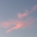 severestrangersheep avatar