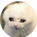 severestudentgiantpickle avatar