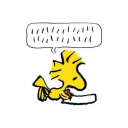 severesublimetragedy avatar