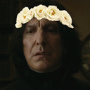 severvsnape-blog avatar