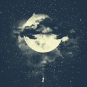 sevgilisininprensesi avatar