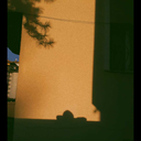 sevinceuzuldum avatar