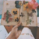 sevyada-hisset avatar