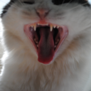 sexdrugsandothershit-blog avatar