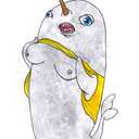 sexually-active-narwhal avatar