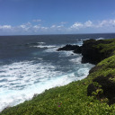 sexweedandfoodxx avatar