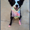 sexxxxxxxxxxxxxxxxxx avatar