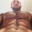 sexypecs69 avatar