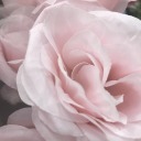 sexypinkgoddesschannel avatar