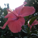 sexyshysecrets avatar