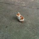 sexyspacepenguin avatar