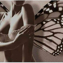 sexysultrybutterfly-bw avatar