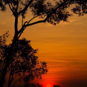 sexytashas-blog avatar