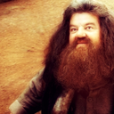 sexyvikinglover avatar