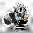 seyraccoon avatar