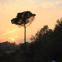 seyyirdefteri avatar