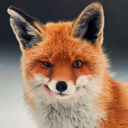 sfaentix avatar