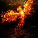 sgarrett01981 avatar