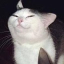 sgs-after-dark avatar