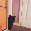 sgsjhujirnhjgk-blog avatar