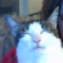 sgt-oreo-blog avatar