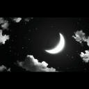 shab-e-tanhai avatar