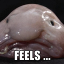 shaddowthunder avatar