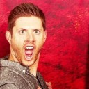 shade-and-gay avatar