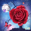shaded-roses-blog avatar