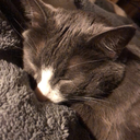 shades-of-bands avatar