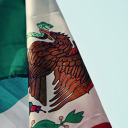 shades-of-dark-paradise avatar